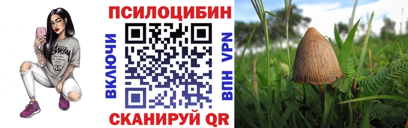 Галлюциногенные грибы GOLDEN TEACHER  Полтавская 
